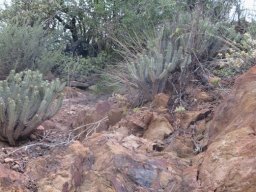 The broken hill fights back